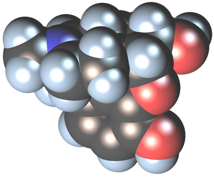 opioid opiate morphine heroin addiction epidemic crisis